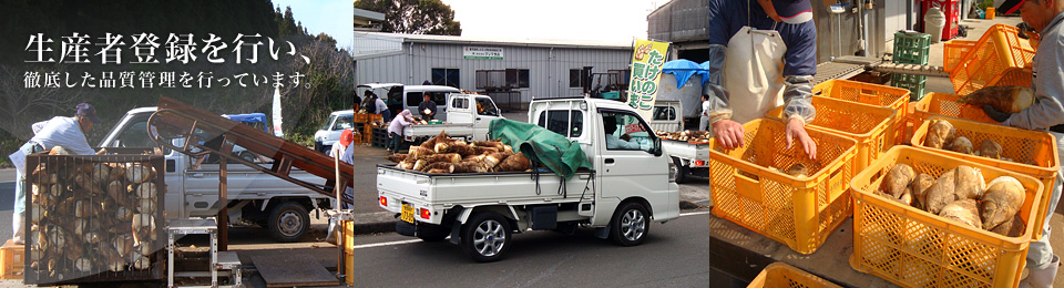 生産者登録を行い、 徹底した品質管理を行っています。